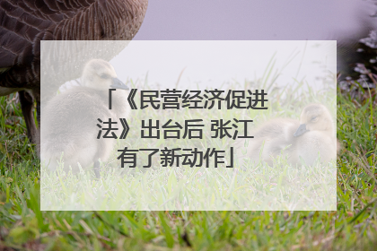 《民营经济促进法》出台后 张江有了新动作