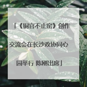 《铜官不止窑》创作交流会在长沙政协同心园举行 陈刚出席