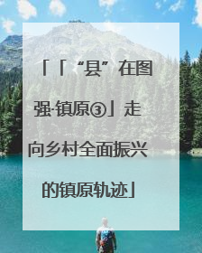 「“县”在图强·镇原③」走向乡村全面振兴的镇原轨迹