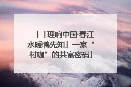 「理响中国·春江水暖鸭先知」一家“村咖”的共富密码