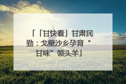 「甘快看」甘肃民勤：戈壁沙乡孕育“甘味”领头羊