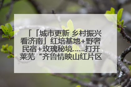「城市更新 乡村振兴看济南」红培基地+野奢民宿+玫瑰秘境……打开莱芜“齐鲁情映山红片区”的破圈秘籍