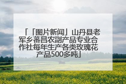 「图片新闻」山丹县老军乡蕃昌农副产品专业合作社每年生产各类玫瑰花产品500多吨