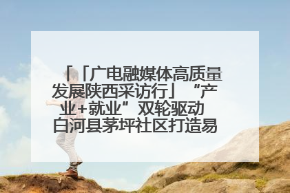 「广电融媒体高质量发展陕西采访行」“产业+就业”双轮驱动 白河县茅坪社区打造易地搬迁后扶新样本