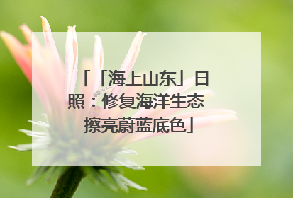 「海上山东」日照：修复海洋生态 擦亮蔚蓝底色