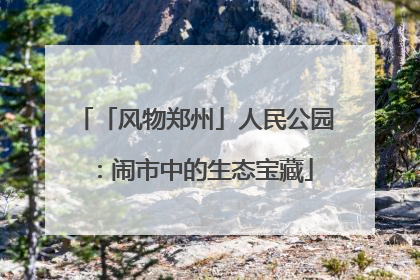 「风物郑州」人民公园：闹市中的生态宝藏