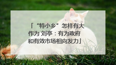 “特小乡”怎样有大作为 刘亭：有为政府和有效市场相向发力