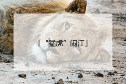 “猛虎”闹江