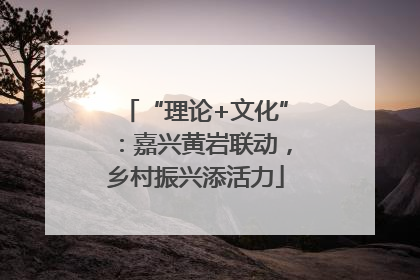 “理论+文化”：嘉兴黄岩联动，乡村振兴添活力