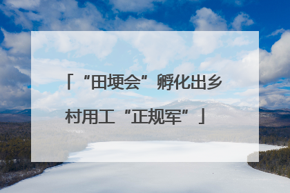 “田埂会”孵化出乡村用工“正规军”