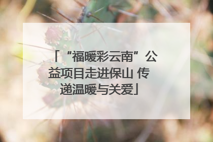“福暖彩云南”公益项目走进保山 传递温暖与关爱