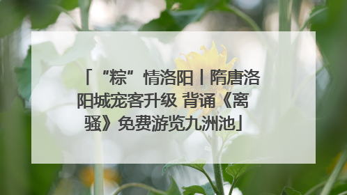 “粽”情洛阳丨隋唐洛阳城宠客升级 背诵《离骚》免费游览九洲池