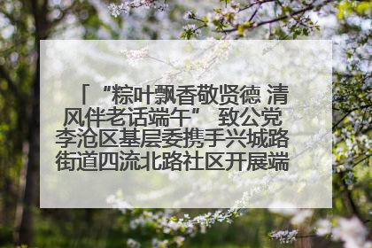 “粽叶飘香敬贤德 清风伴老话端午” 致公党李沧区基层委携手兴城路街道四流北路社区开展端午节主题活动