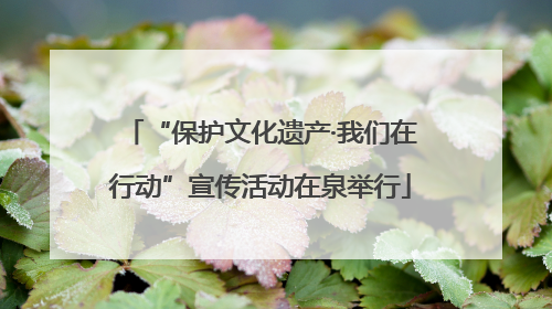 “保护文化遗产·我们在行动”宣传活动在泉举行