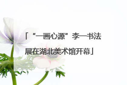 “一画心源”李一书法展在湖北美术馆开幕