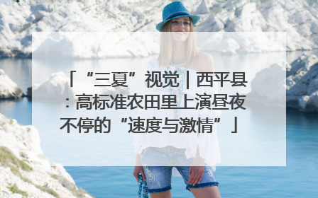 “三夏”视觉｜西平县：高标准农田里上演昼夜不停的“速度与激情”