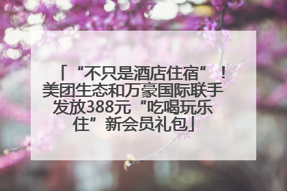 “不只是酒店住宿”！美团生态和万豪国际联手发放388元“吃喝玩乐住”新会员礼包