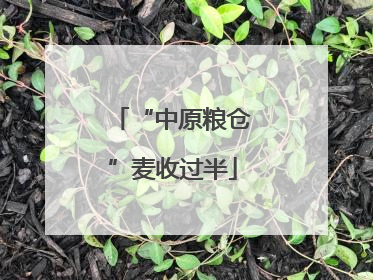 “中原粮仓”麦收过半
