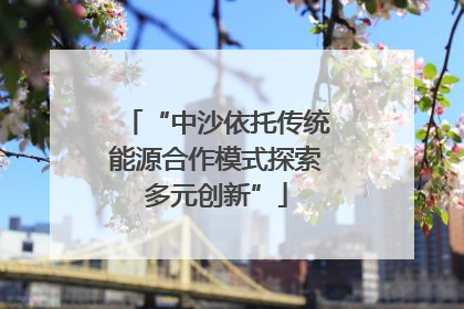 “中沙依托传统能源合作模式探索多元创新”