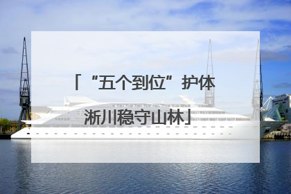 “五个到位”护体 淅川稳守山林