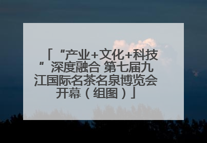 “产业+文化+科技”深度融合 第七届九江国际名茶名泉博览会开幕（组图）