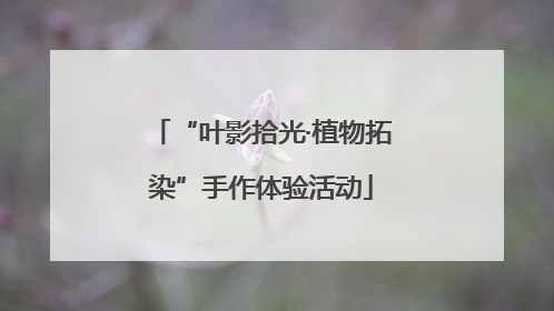 “叶影拾光·植物拓染”手作体验活动