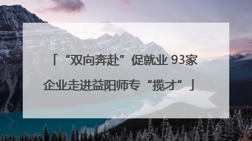 “双向奔赴”促就业 93家企业走进益阳师专“揽才”