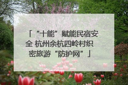 “十能”赋能民宿安全 杭州余杭四岭村织密旅游“防护网”