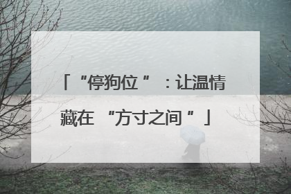 “停狗位 ”：让温情藏在 “方寸之间 ”