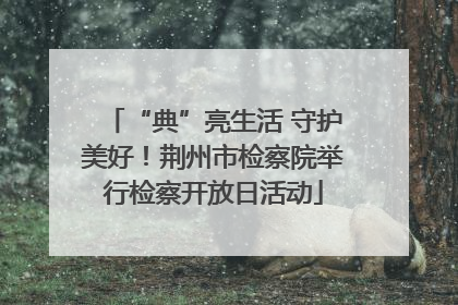 “典”亮生活 守护美好！荆州市检察院举行检察开放日活动
