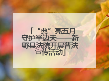 “典”亮五月 守护半边天——新野县法院开展普法宣传活动