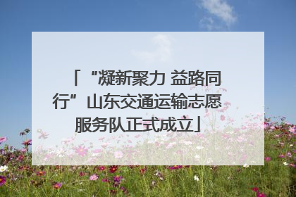 “凝新聚力 益路同行”山东交通运输志愿服务队正式成立