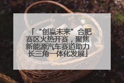 “创赢未来”合肥赛区火热开赛，聚焦新能源汽车赛道助力长三角一体化发展
