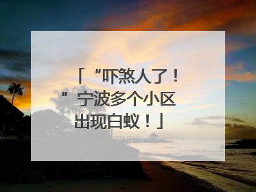 “吓煞人了！”宁波多个小区出现白蚁！