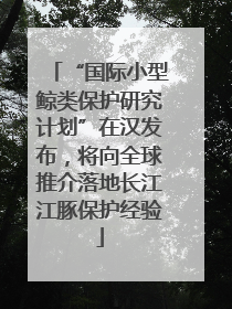 “国际小型鲸类保护研究计划”在汉发布，将向全球推介落地长江江豚保护经验