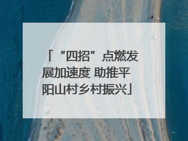 “四招”点燃发展加速度 助推平阳山村乡村振兴