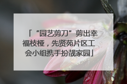 “园艺剪刀”剪出幸福枝桠，先贤苑片区工会小组携手扮靓家园
