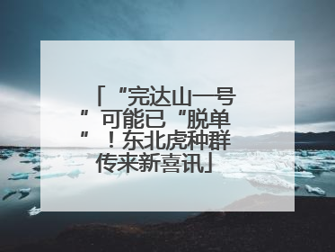 “完达山一号”可能已“脱单”！东北虎种群传来新喜讯