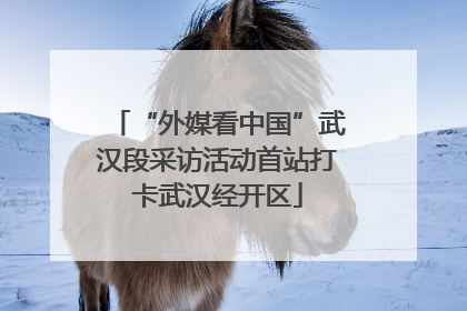 “外媒看中国”武汉段采访活动首站打卡武汉经开区