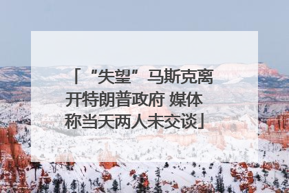 “失望”马斯克离开特朗普政府 媒体称当天两人未交谈