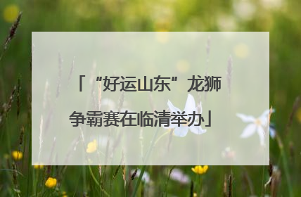 “好运山东”龙狮争霸赛在临清举办