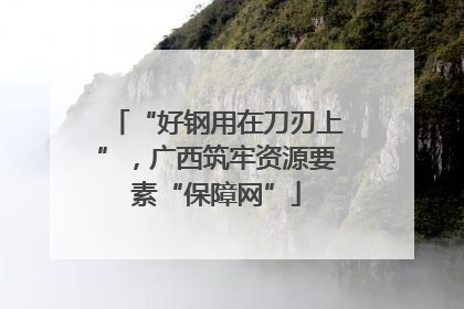 “好钢用在刀刃上”，广西筑牢资源要素“保障网”