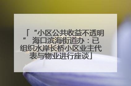 “小区公共收益不透明” 海口滨海街道办：已组织水岸长桥小区业主代表与物业进行座谈