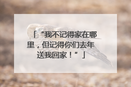 “我不记得家在哪里，但记得你们去年送我回家！”