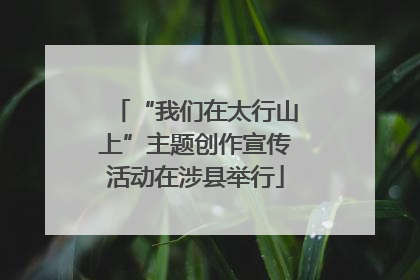 “我们在太行山上”主题创作宣传活动在涉县举行