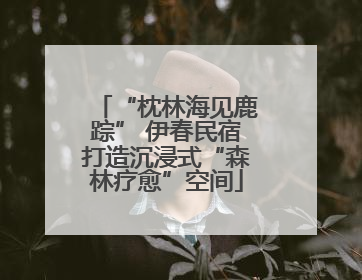 “枕林海见鹿踪” 伊春民宿打造沉浸式“森林疗愈”空间