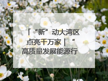 “新”动大湾区 点亮千万家｜“高质量发展能源行”系列报道③