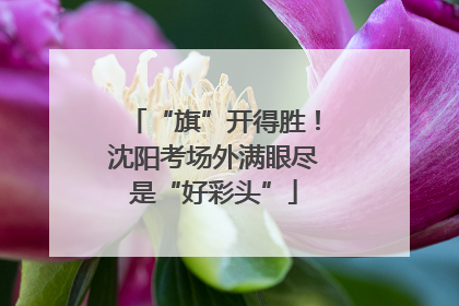 “旗”开得胜！沈阳考场外满眼尽是“好彩头”
