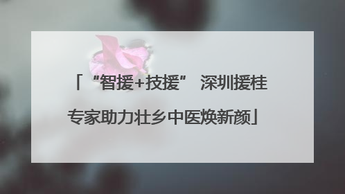 “智援+技援” 深圳援桂专家助力壮乡中医焕新颜