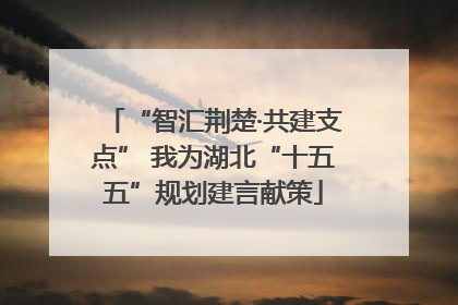 “智汇荆楚·共建支点” 我为湖北“十五五”规划建言献策